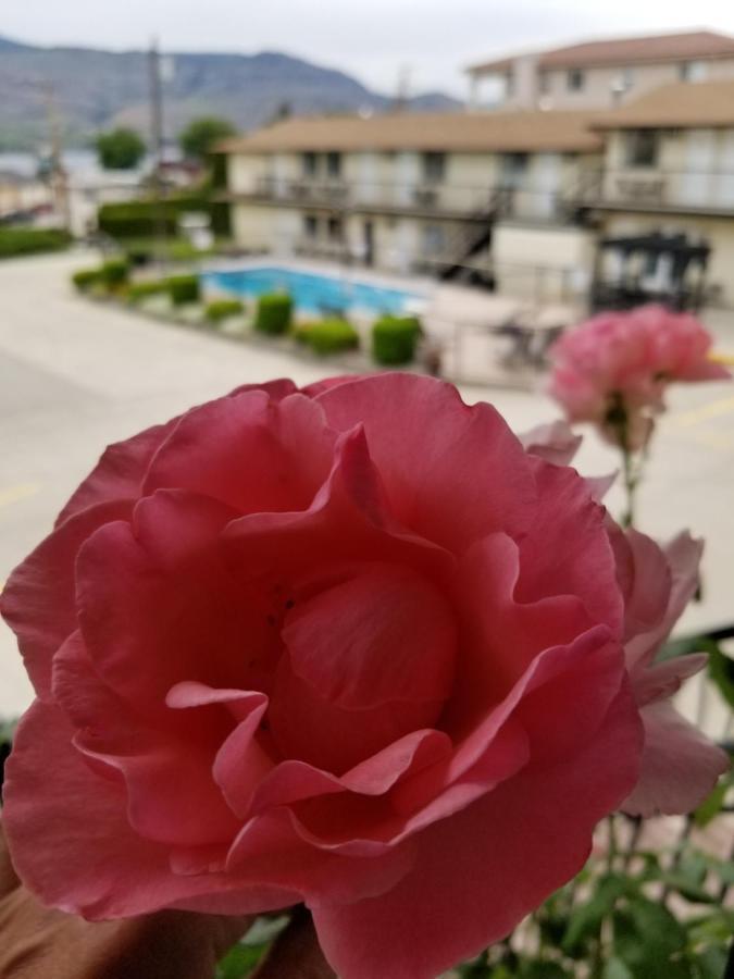 Osoyoos Lakeview Inn & Suites Экстерьер фото