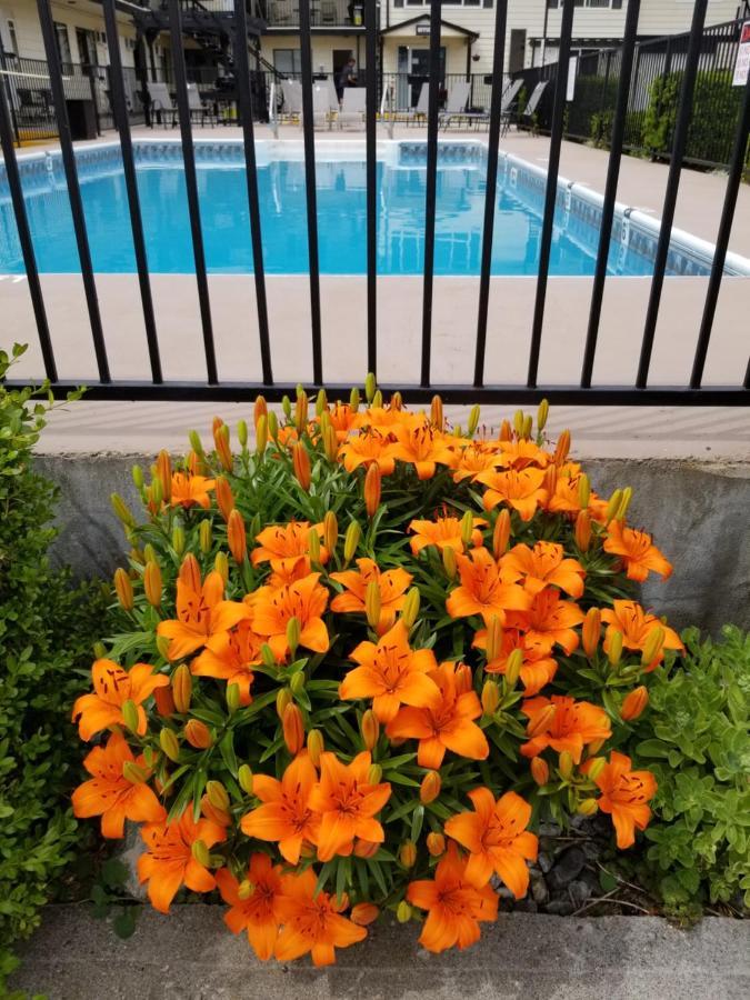 Osoyoos Lakeview Inn & Suites Экстерьер фото